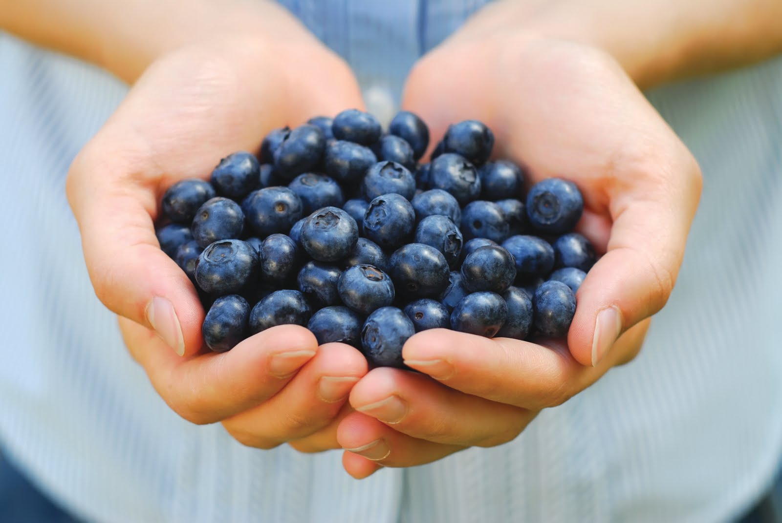 blueberries-in-hand-shutterstock_8400148